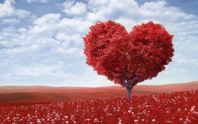 beta heart-kolesteroltal-herbalife 